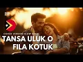 Lagu 🇹🇱Tansa Uluk O Fila Kotuk-Ketika Cinta Lama Datang Kembali_Song Tetun Timor Leste🇹🇱version slow rock