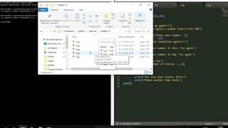 Random Exercise Python Task