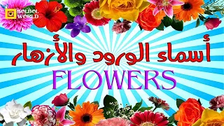 أسماء الازهار بالعربية والانجليزي دندنها