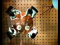 STATION ID SCTV Satu Untuk Semua 2005