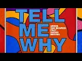Armin Van Burren Ft. Sarah Reeves - Tell Me Why