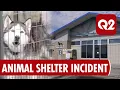 State Fines Billings 5 000 Over Incinerator Violations Tied to 2023 Animal Shelter Incident