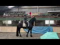 Lagu Stal Okkema's Vito - Markus x Reinder - Stallion - 2022 - 1.67m