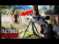 Download Lagu Incredible NEW BIGFOOT Footage Validates the Legend's Reality!