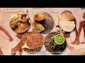The ENTIRE History of Egypt | Ancient Civilizations Documentary