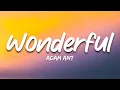 Lagu Adam Ant - Wonderful (Lyrics)