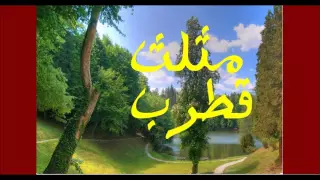 شرح نظم مثلث قطرب للشيخ محمد عينين الموريتاني 