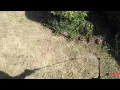 GREENWOOD 4 GALLON BACKPACK SPRAYER UNBOXING AND MSMA 2 DAY RESULTS