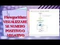 1 flowgorithm ENG show if a number is positive or negative if