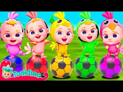 Download MP3 The chicken dance | color ball Finger Family | Nursery Rhymes & Kids Songs