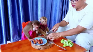 What are Bryan and Icy eating? (Monkey Kitchen Day)