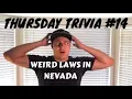 Weird Nevada Laws and Local Elko Area Facts