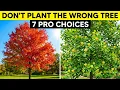 7 Best Fast-Growing Shade Trees to Plant This Spring Non-Invasive Native
