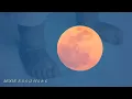 MOON　ー REBECCA ー