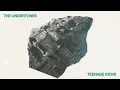 The Undertones - Teenage Kicks [OFFICIAL AUDIO]