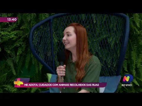Me Adota: conheça os cuidados com animais recolhidos das ruas
