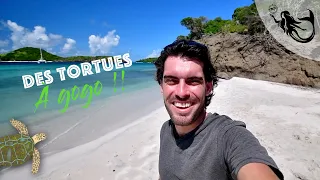 EP.126 – Ma petite VIE en SOLITAIRE dans les Grenadines 🌴🥥