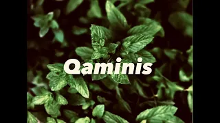 كولومبي قمينس 