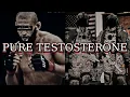 Lagu PURE TESTOSTERONE