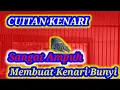 Download Lagu SUARA CUITAN KENARI BUAT MANCING KENARI AGAR BUNYI 🦜| BIKIN KENARI BISU JADI GACOR DOR