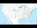 2016 Whole Year National Weather Radar Read Description