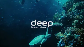 Cyberzk - Underwater