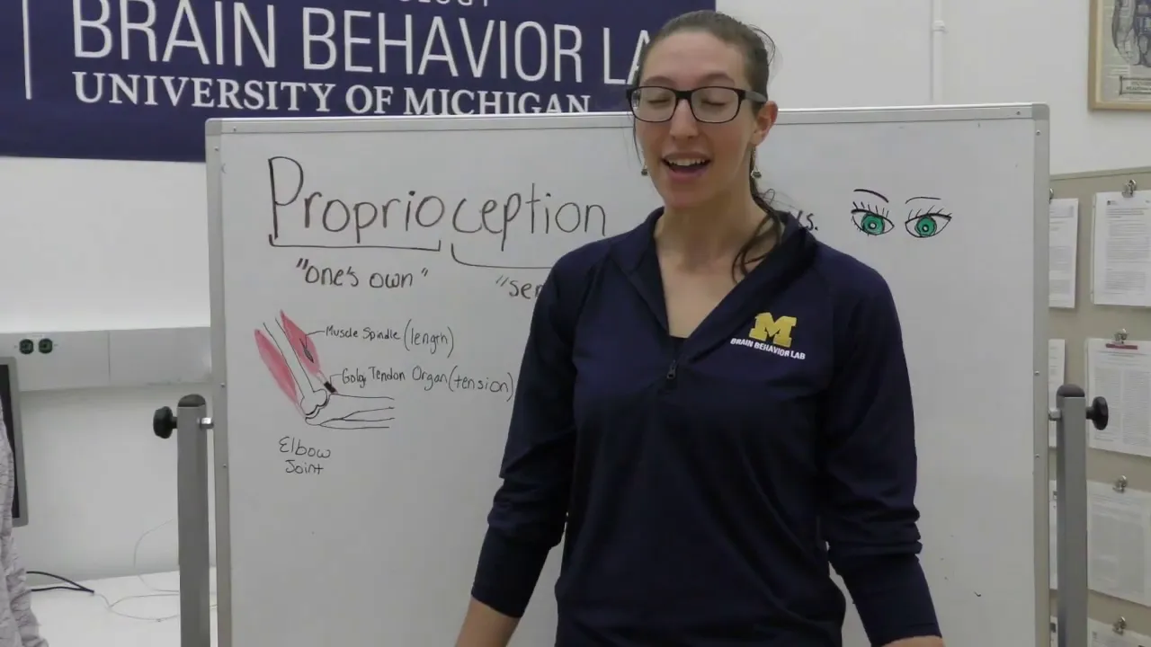 Expert Expo - Beyond the 5 Senses | Elana Goldenkoff