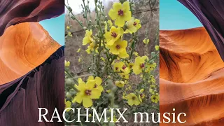 المرجو الاشتراك بالقناة راني نبغيك ونموت عليك Rani Nbghik Wnmout 3lik RACHMIX Music 