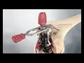 Download Lagu Attune Primary FB -  Surgical Technique Animation