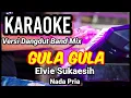Download Lagu GULA GULA - Elvie Sukaesih | Karaoke dut band mix nada pria | Lirik