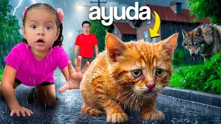 RESCATAMOS UN GATITO ABANDONADO EN LA CALLE!! 