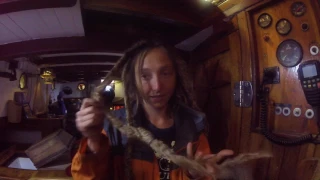 Girl Cuts Off Dreadlocks After Ten Years