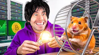 Farmeando Hamsters Por Electricidad ILIMITADA!! ⚡️