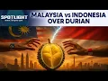 Lagu Malaysia–Indonesia Clash Over Who Owns the “King of Fruits” Durian | Spotlight | N18G