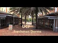UCF - University of Central Florida Freshman