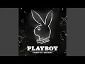 Download Lagu Playboy