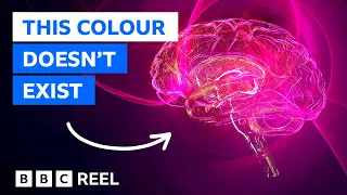 Download Magenta: The colour that doesn't exist – BBC REEL MP3