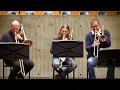 Schumann, 3.Sinfonie  Ian Bousfield,  Gabriele Marchetti,  Beat Ryser Firmin