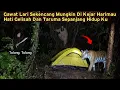 Camping horor lari sekencang mungkin di kejar harimau dan kuntilanak di hutan belantara hujan deras