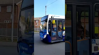                                                دندنها