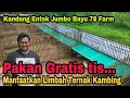 Lagu Pakan Gratis Manfaatkan Limbah Ternak Kambing || Kandang Entok Bayu 78 Farm Jogja