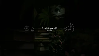 الذي خلقني فهو يهدين فارس عباد 