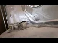 For Escandelev A Look At Montgomery Escalators At Dillard s Regency Square Mall In Jacksonville FL