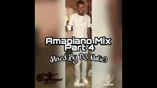 amapiano mix part 4 mixed by dj natie 