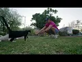 When a Stray Tuxedo Cat Invites You to Play