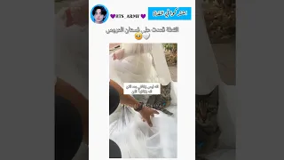 القطة تحسب انه يوم زفافها Editlyrics Lyrics Explore Jk Explore  القطة تحسب انه يوم زفافها Editlyrics Lyrics Explore Jk Explore