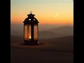 Desert Lantern Dream