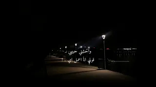 وحشني حبيبي قولي انا اعمل ايه      دندنها