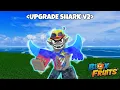 Fast Method To Get Shark Race V2 in Blox Fruits 2026 Guide Roblox