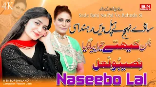 sada bahj na pal ve rehnda si hun kitha tera payr giay naseebo lal new punjabi song 2024